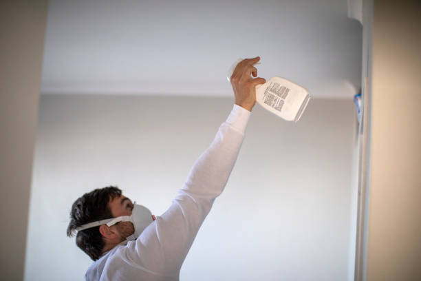 Best Black Mold Removal  in Lockney, TX