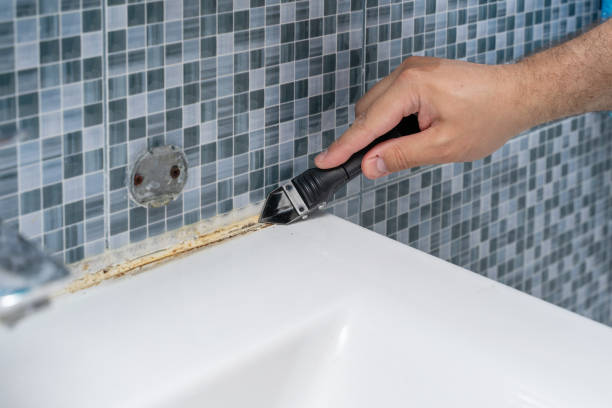 Best Local Mold Removal Service  in Lockney, TX